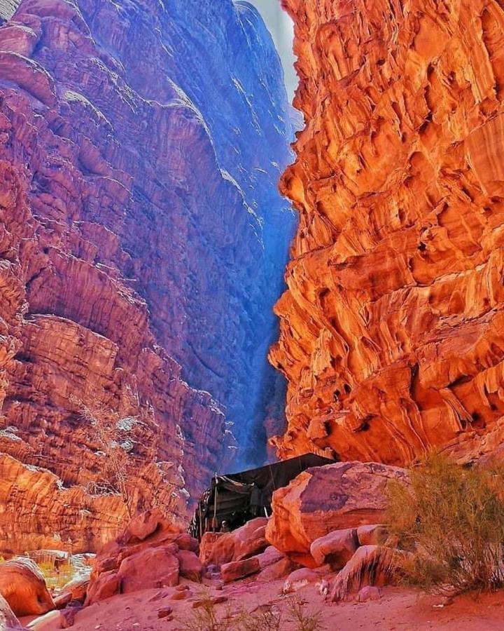 Tamim Luxury Wadi Rum Camp ภายนอก รูปภาพ