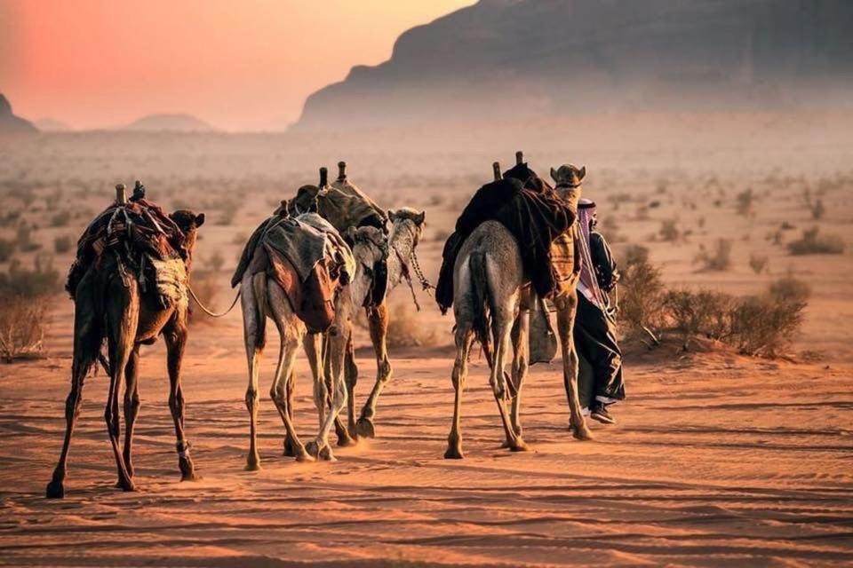 Tamim Luxury Wadi Rum Camp ภายนอก รูปภาพ