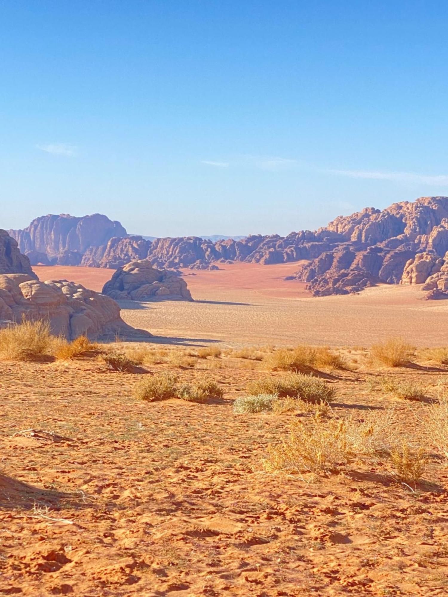 Tamim Luxury Wadi Rum Camp ภายนอก รูปภาพ
