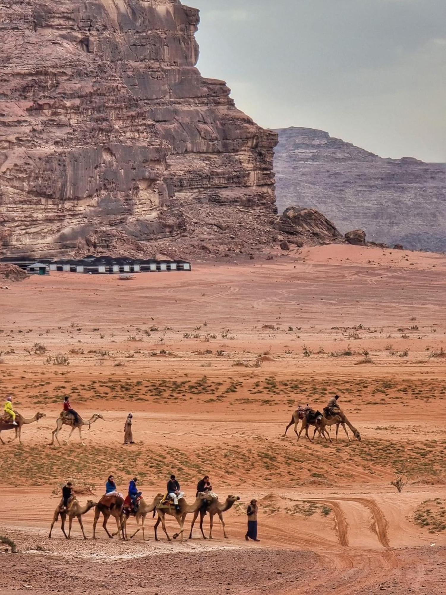 Tamim Luxury Wadi Rum Camp ภายนอก รูปภาพ