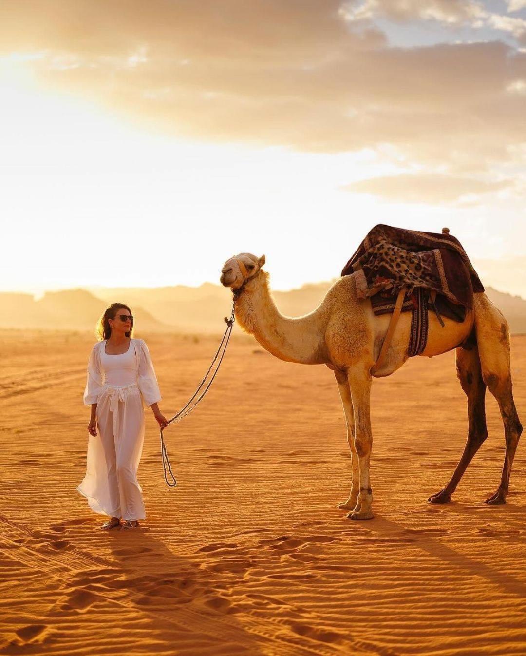 Tamim Luxury Wadi Rum Camp ภายนอก รูปภาพ